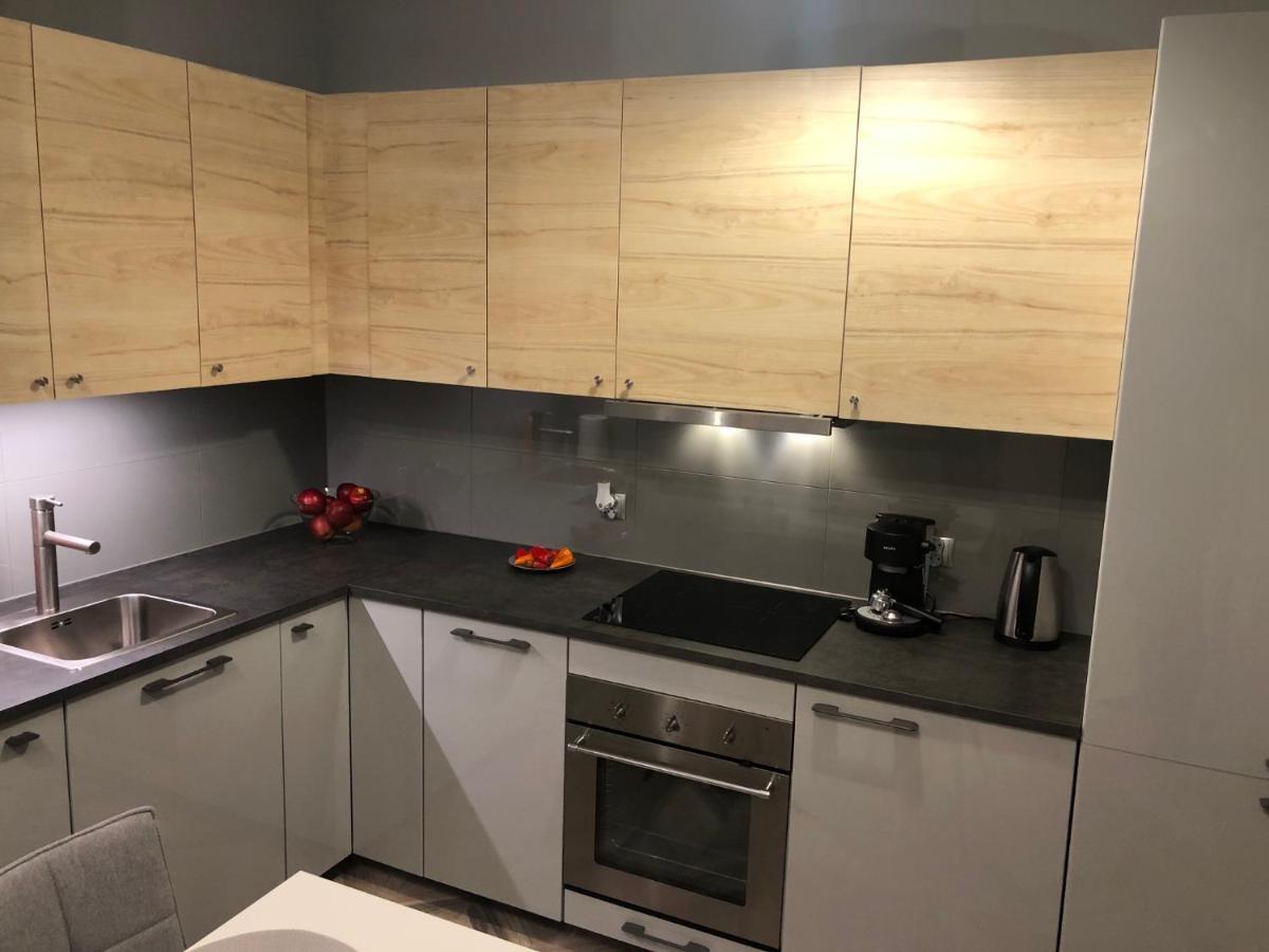 Apartment Katowice Center Dış mekan fotoğraf